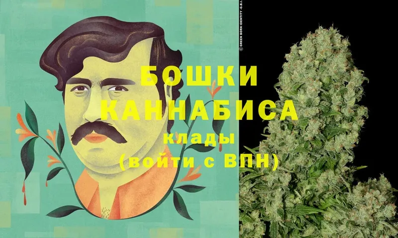 как найти закладки  MEGA ссылки  Канабис Ganja  Заречный 